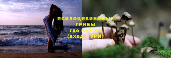 метадон Богданович