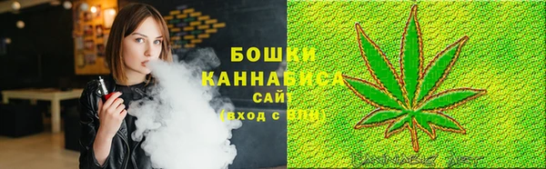 метадон Богданович