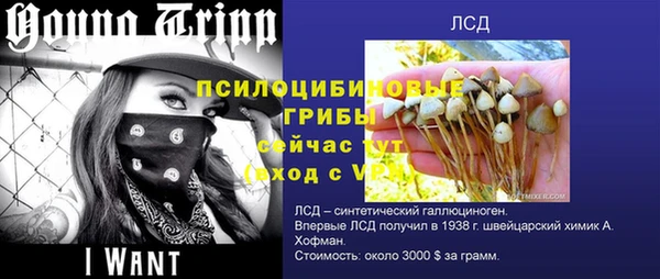 соль ск Богородицк