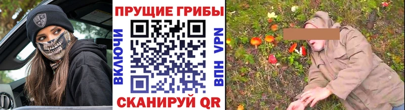 Купить закладки Кубинка Псилоцибиновые грибы MAGIC MUSHROOMS